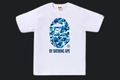 tee - supplier